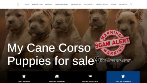 Scam Website: Howling Good Puppies | Buy Cane Corso Pups online