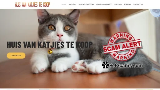 Scam Website: Huis van katjies te koop