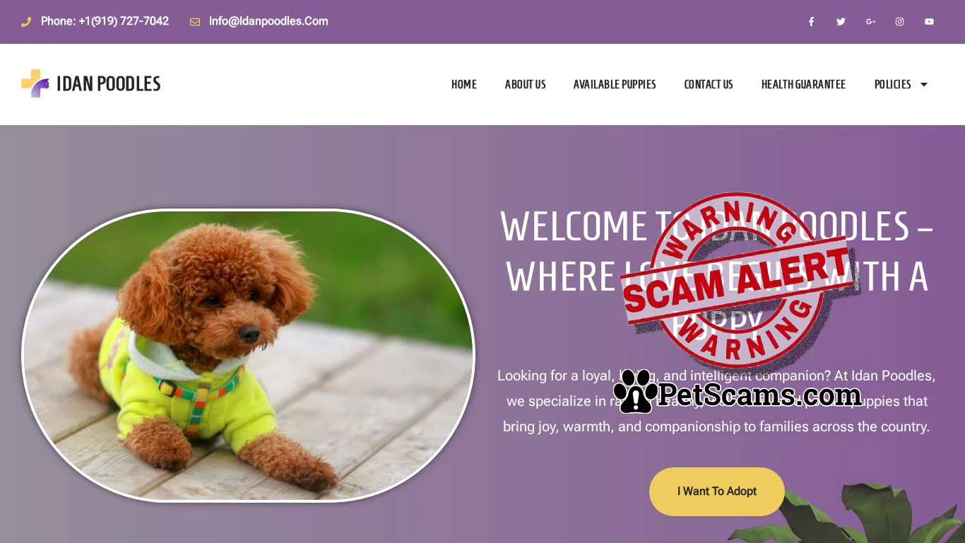 is idanpoodles.com legit? screenshot