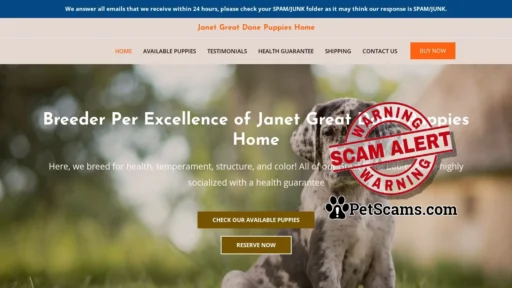 Scam Website: Janet Great Dane Puppies Home – Great Dane Puppies For Sale