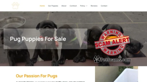 Scam Website: Jason Pug Puppies – Buy puppies online