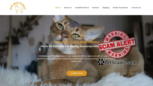 Scam Website: jjcabyscattery.com – Abyssinian Kittens For Sale