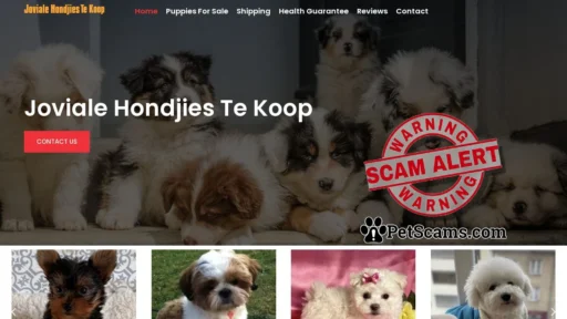 Scam Website: Joviale Hondjies Te Koop