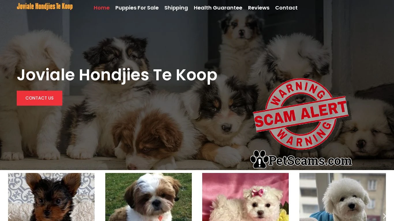 is Joviale Hondjies Te Koop legit? screenshot