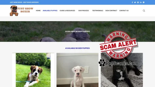 Scam Website: Just Show Boxer – Adopt A Boxer Puppy