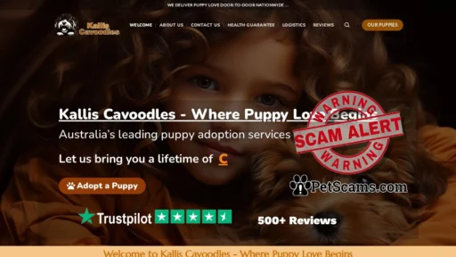 Scam Website: Cavoodles Rehoming – Cavoodle puppies for New Homes – Kallis Cavoodles