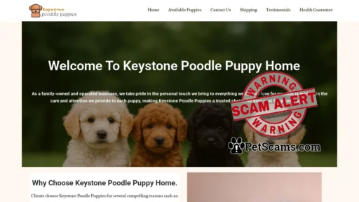 Scam Website: Keystone Poodle Puppies – Adorable Poodle Puppies for Sale