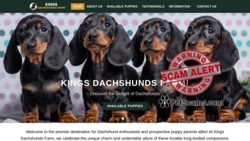 Scam Website: Kings Dachshunds Farm – Dachshund puppies for sale