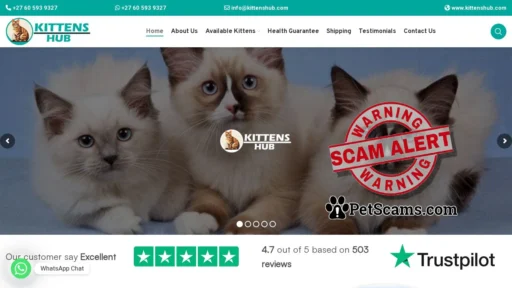 Scam Website: Kittens Hub