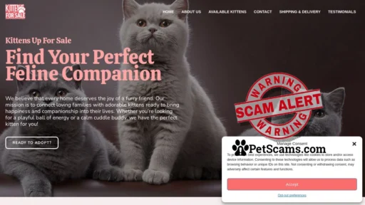 Scam Website: KITTENS UP FOR SALE – KITTENS UP FOR SALE