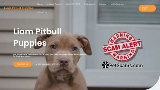 Scam Website: Liam Pitbull Puppies – Purebred Pitbull Puppies For Sale