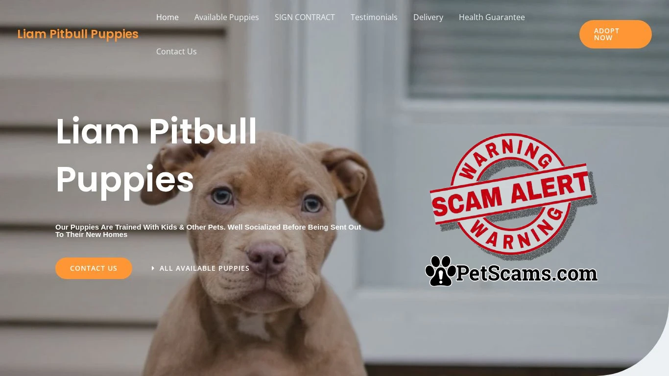 is Liam Pitbull Puppies – Purebred Pitbull Puppies For Sale legit? screenshot