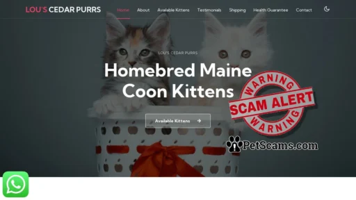 Scam Website: Lou's Cedar Purrs - Home bred Maine Coon Kittens | Home