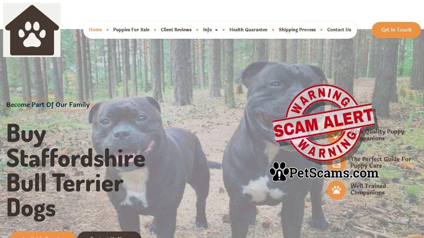 is Loyal Forge – puppies for sale! legit? screenshot