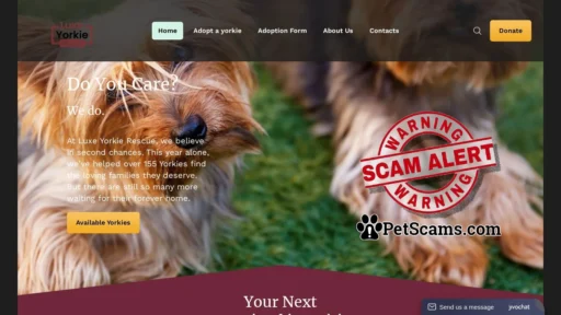 Scam Website: luxeyorkierescue
