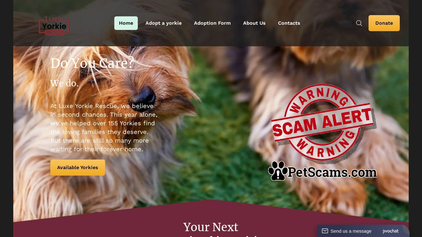 Scam Website: luxeyorkierescue
