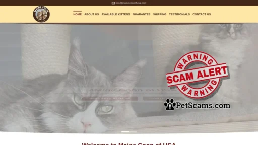Scam Website: Maine coon Kittens for Sale | Maine Coon of USA