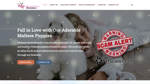 Scam Website: Maltese Puppies for Sale – Maltese Puppies for Sale Near Me – Maltese Home Breeders