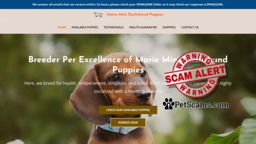 Scam Website: Marie Mini Dachshund Puppies – Dachshund Puppies For Sale