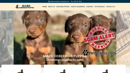 Scam Website: HOME | Mark Doberman Puppies