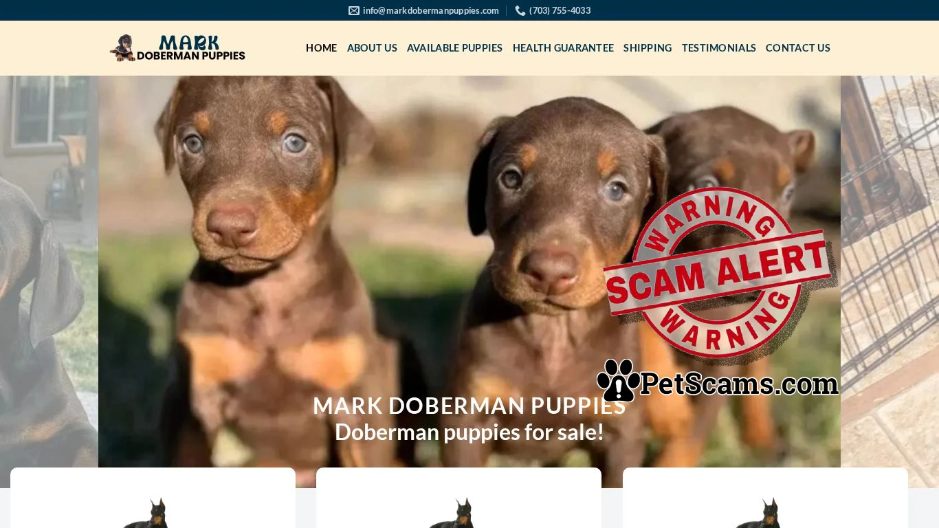 is HOME | Mark Doberman Puppies legit? screenshot