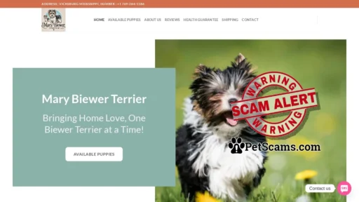 Scam Website: Mary Biewer Terrier – Mary Biewer Terrier – Where Love Meets Loyalty!