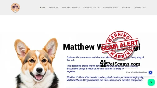 Scam Website: matthew welsh corgi – Puppies for sale