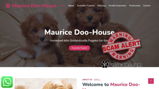 Scam Website: Maurice Doo-House - Homebred Mini Goldendoodle Puppies For Sale