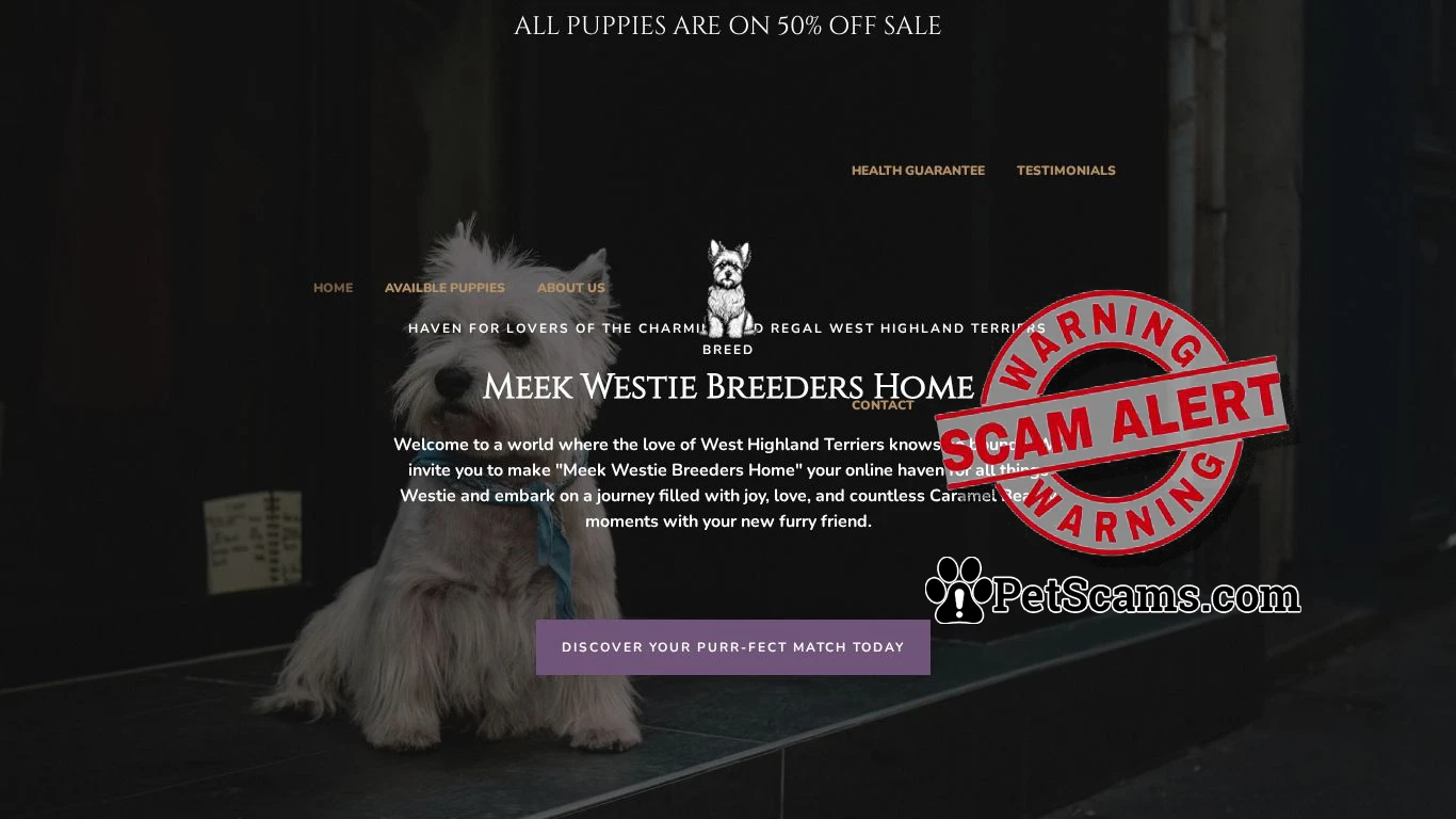 is Meek Westie Breeders Home – West Highland Terriers For Sale legit? screenshot