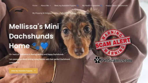Scam Website: Mellissa's Mini Dachshunds Home – Find Your Furry Best Friend Here.