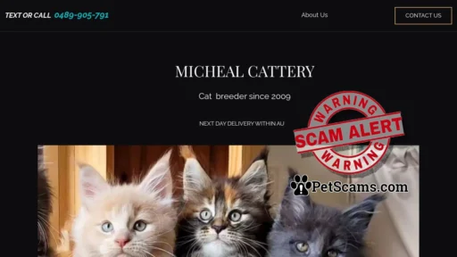 Scam Website: Home