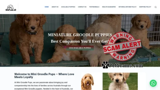 Scam Website: Mini Goldendoodle Puppies – Best Companion You'll Have