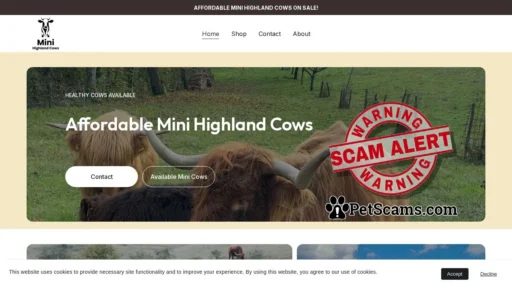 Scam Website: Affordable Mini Highland Cows for Sale Near You | minihighlandscows