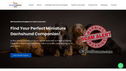 Scam Website: Buy Mini Dachshund Puppies – Buy Mini Dachshund Puppies