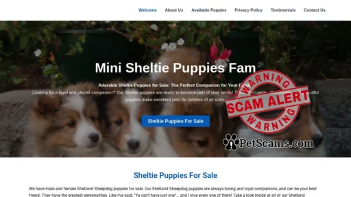 Scam Website: Mini Sheltie Pup Fam – Sheltie Puppies For Sale
