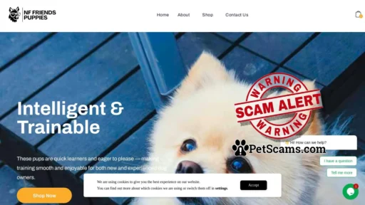 Scam Website: nicolefurryfriendspuppies.com
