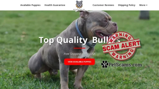 Scam Website: American Bullies for sale. Pitbull Puppies for sale. 50% Discount