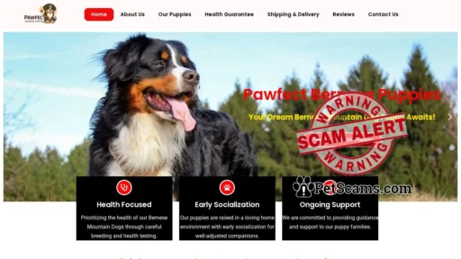 Scam Website: pawfectbernesepuppies.com