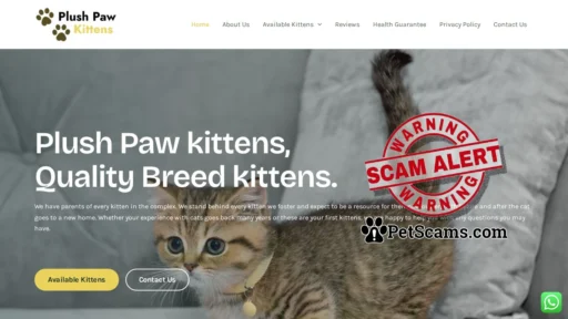 Scam Website: Plush Paw Kittens