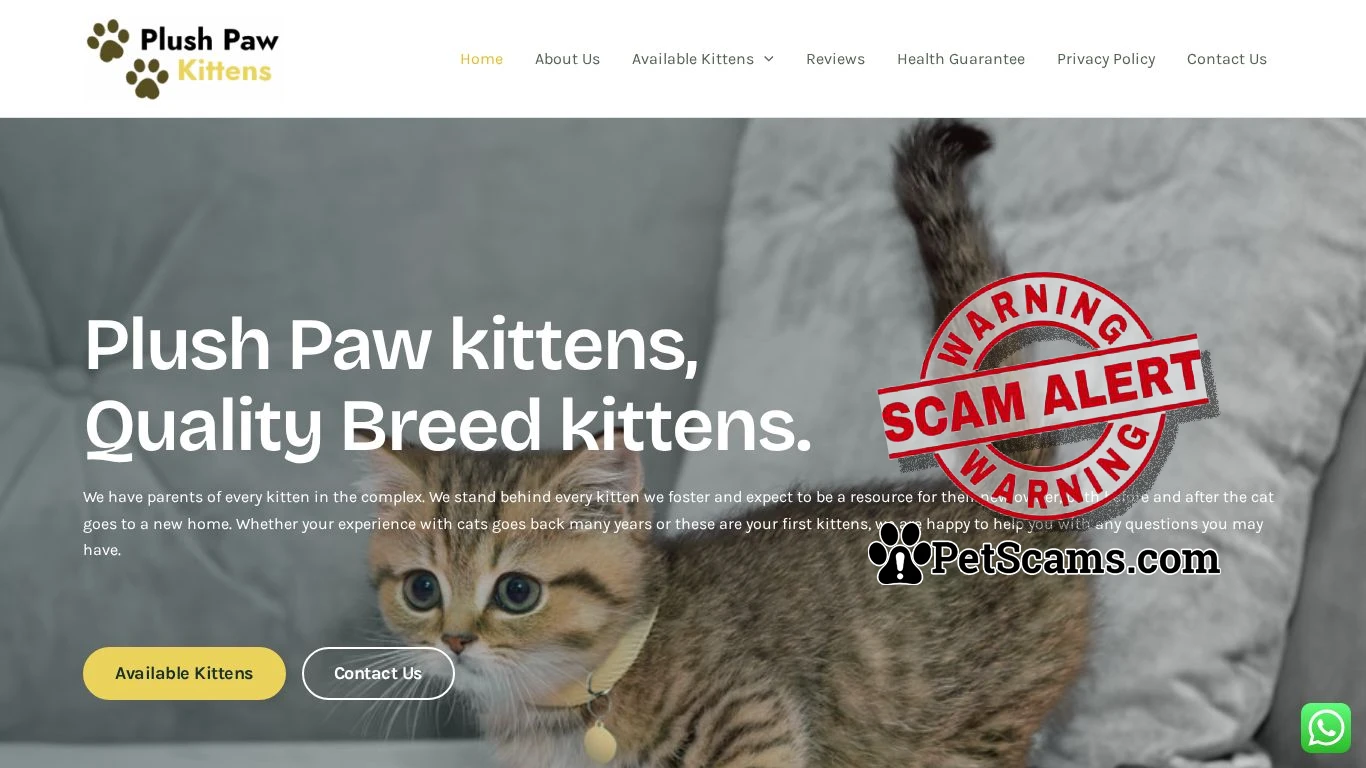 is Plush Paw Kittens legit? screenshot