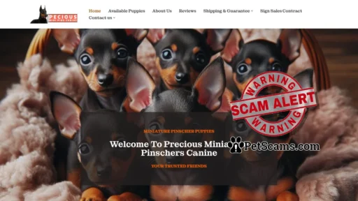 Scam Website: Precious Miniature Pinschers Canine
