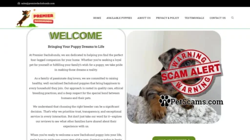 Scam Website: PREMIER DACHSHUND – Registered Dachshund Breeder.