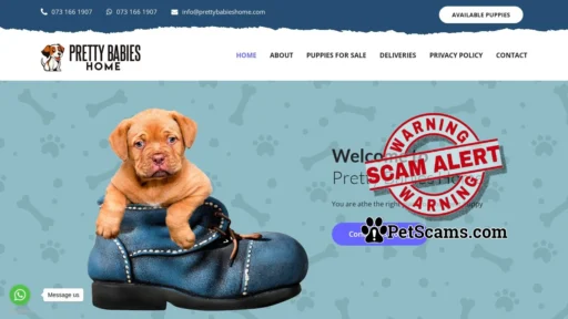 Scam Website: Pretty Babies Home | Welcome