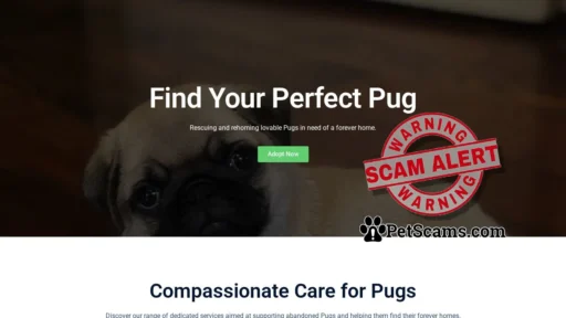 Scam Website: Pug Puppies Home