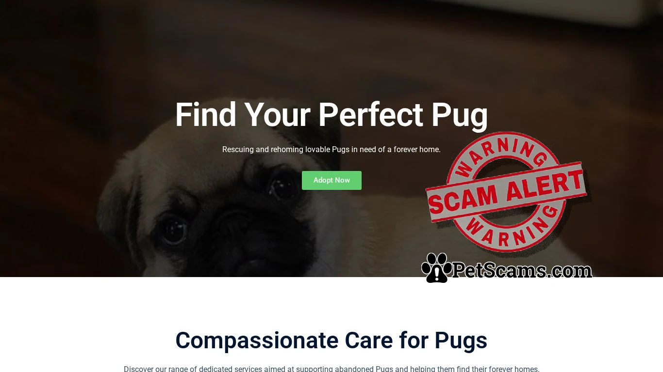 is Pug Puppies Home legit? screenshot