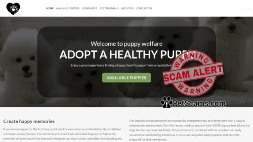 Scam Website: Affordable Bichon Frise Puppies For Sale