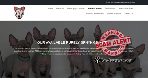 Scam Website: purelysphynxkittens.com
