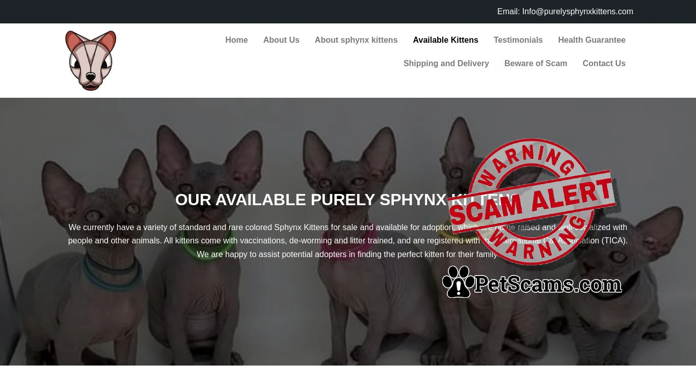 is purelysphynxkittens.com legit? screenshot