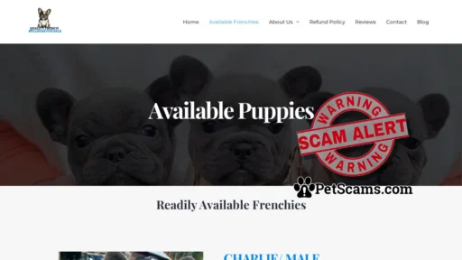 Scam Website: french bulldog puppies for sale - Available Puppies