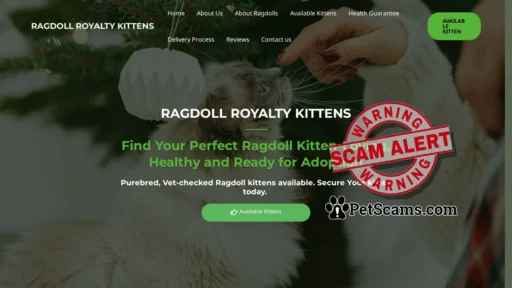 Scam Website: Home - RAGDOLL ROYALTY KITTENS